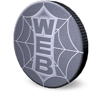 A 3-D coin graphic with a web design logo